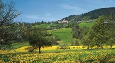 Blick auf Perasdorf im Frühling