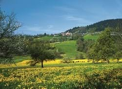 Blick auf Perasdorf im Frühling