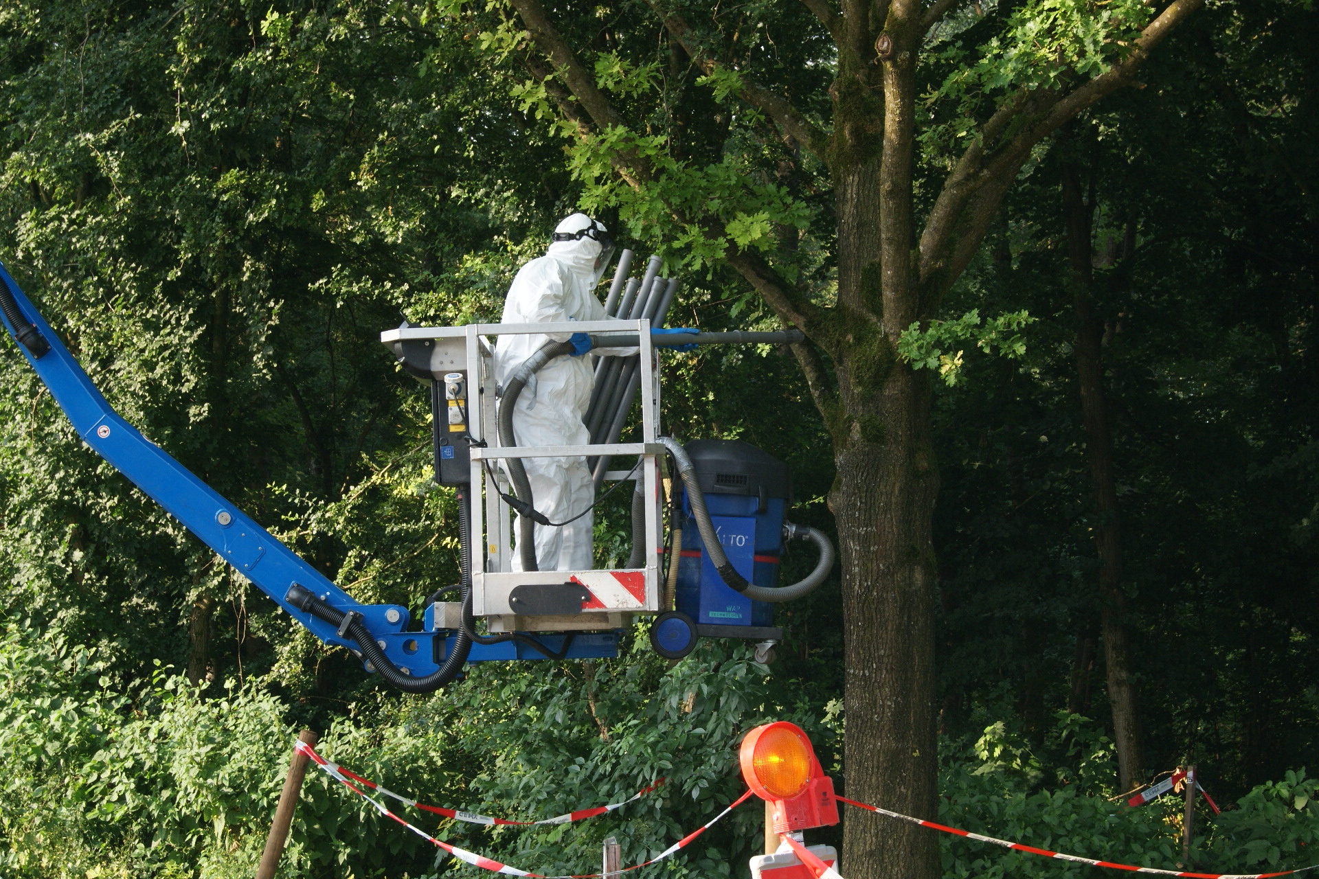 Gemeinschaftsaktion von Landkreis und Stadt Bogen gegen den Eichenprozessionsspinner