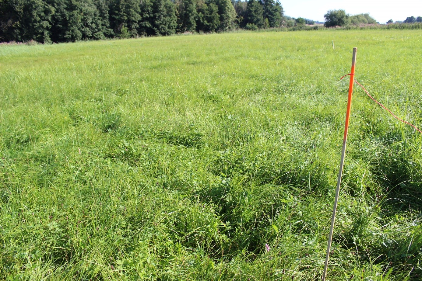 Landwirte werden „Wiesenschafftler“