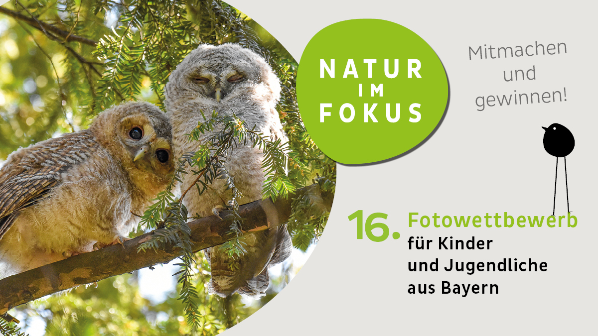 Start des 16. Fotowettbewerbs „Natur im Fokus“ für Kinder und Jugendliche aus Bayern