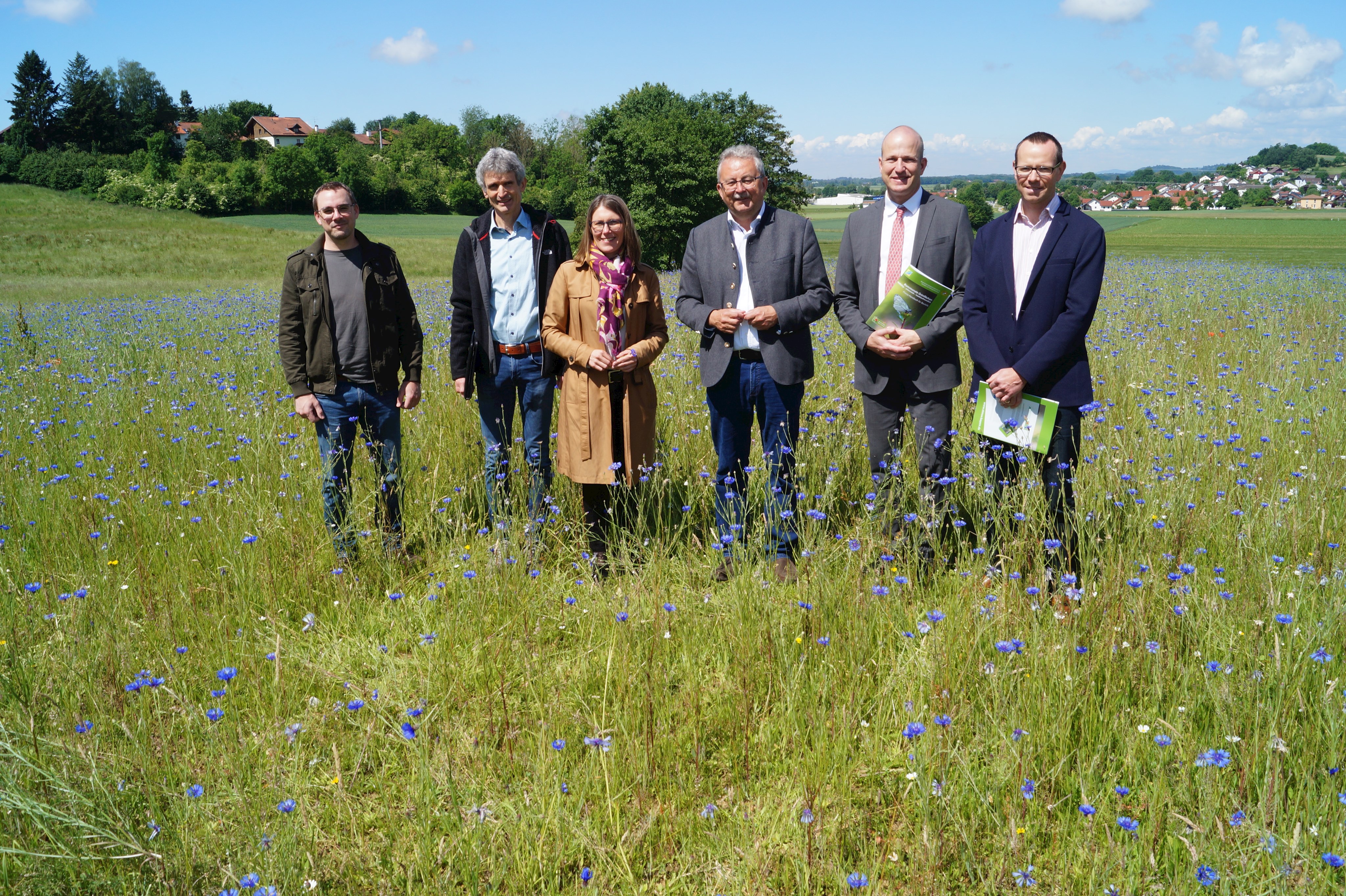 Ambros Köppl (Landschaftspflegeverband), Harald Götz (Kreisfachberatung), Bogens Bürgermeisterin Andrea Probst, Landrat Josef Laumer, Clemens Kink (Schulleiter Veit-Höser-Gymnasium) und Ulrich Rummel (Stellvertretender Schulleiter Ludmilla Realschule, von links) stehen in der Blühwiese am Schulzentrum in Bogen.