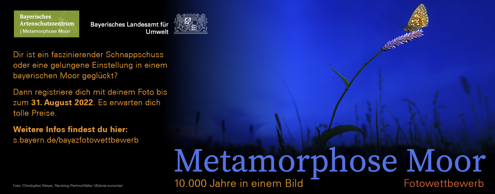 Fotowettbewerb Metamorphose Moor
