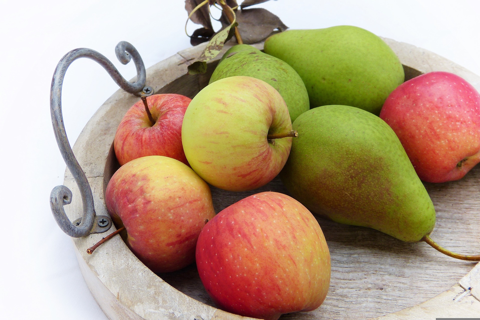 Öffentliche Obstsortenbestimmung von Äpfel und Birnen