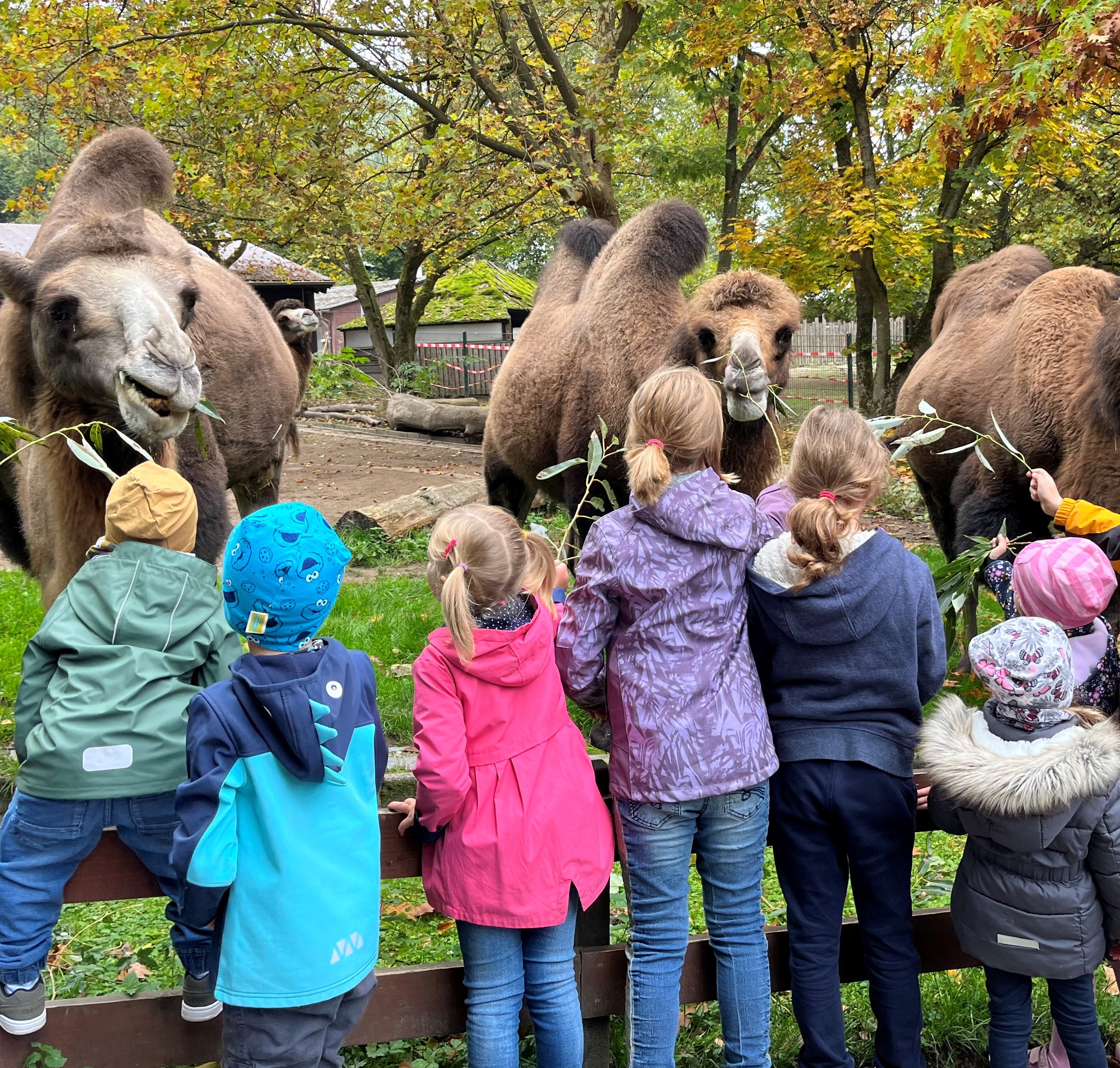 Die Pflegekinder vor dem Dromedar-Gehege im Straubinger Tiergarten.