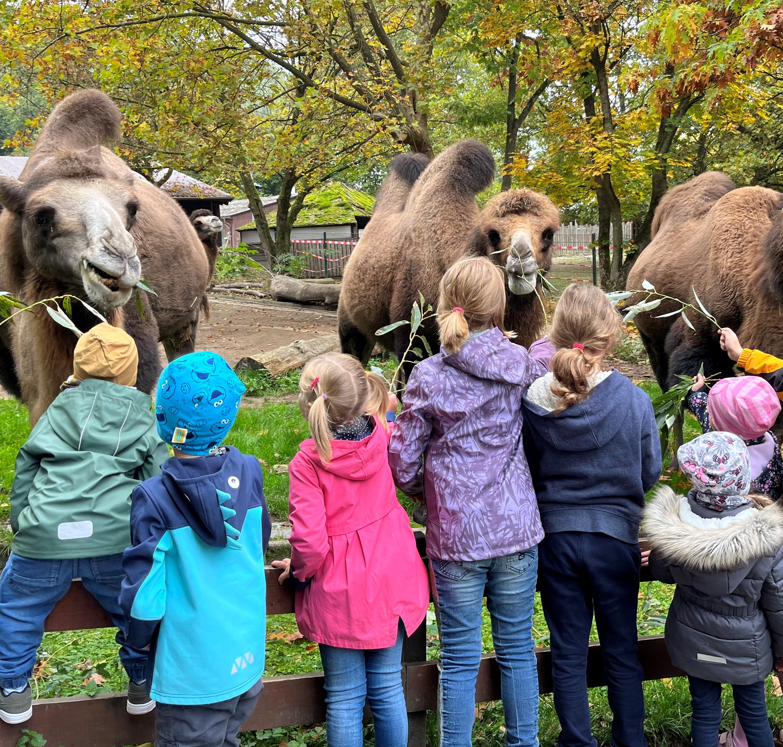 Ausflug für Kinder und Pflegeeltern 