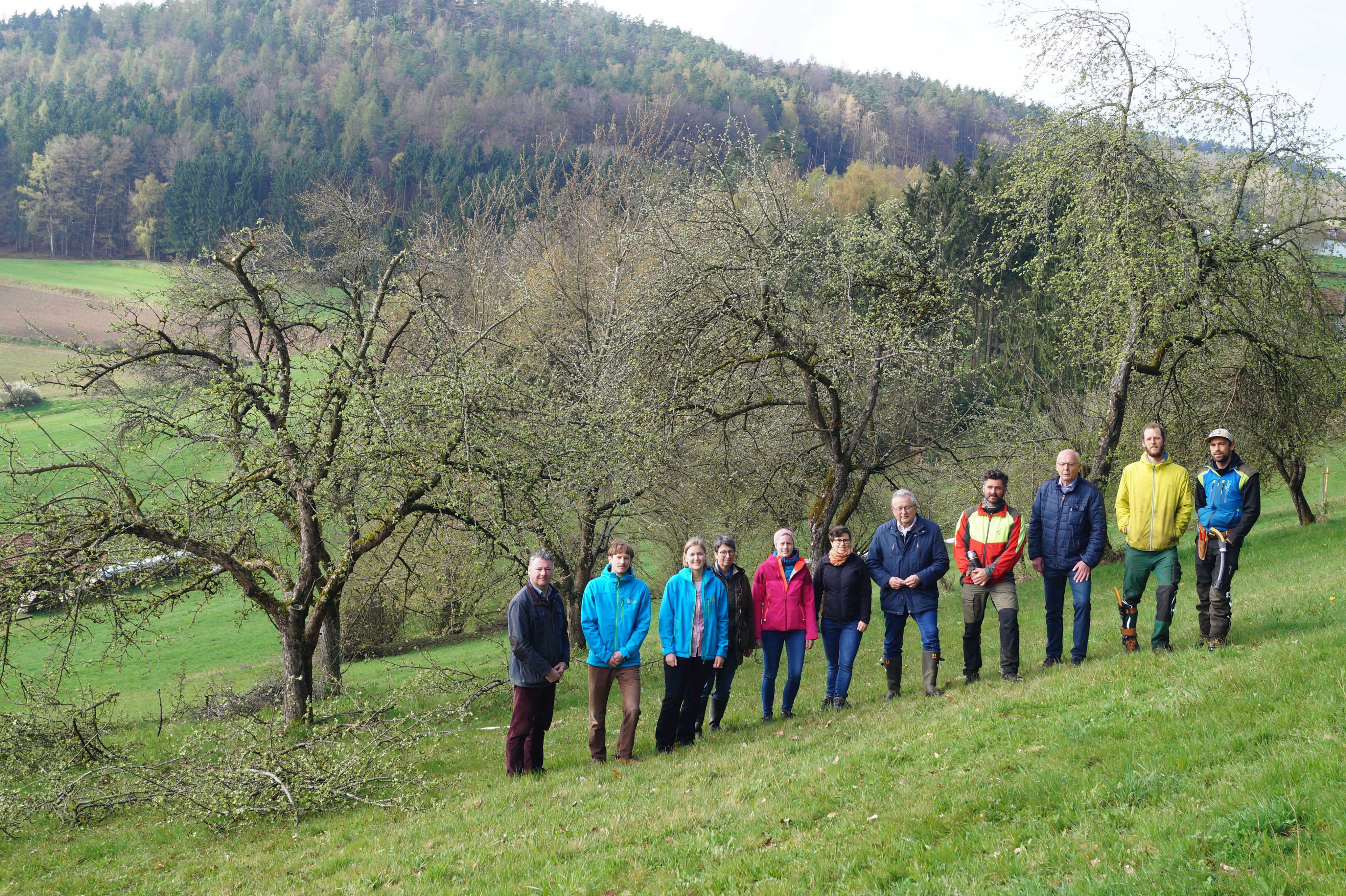 Die Teilnehmerinnen und Teilnehmer am Ortstermin vor den Obstbäumen.