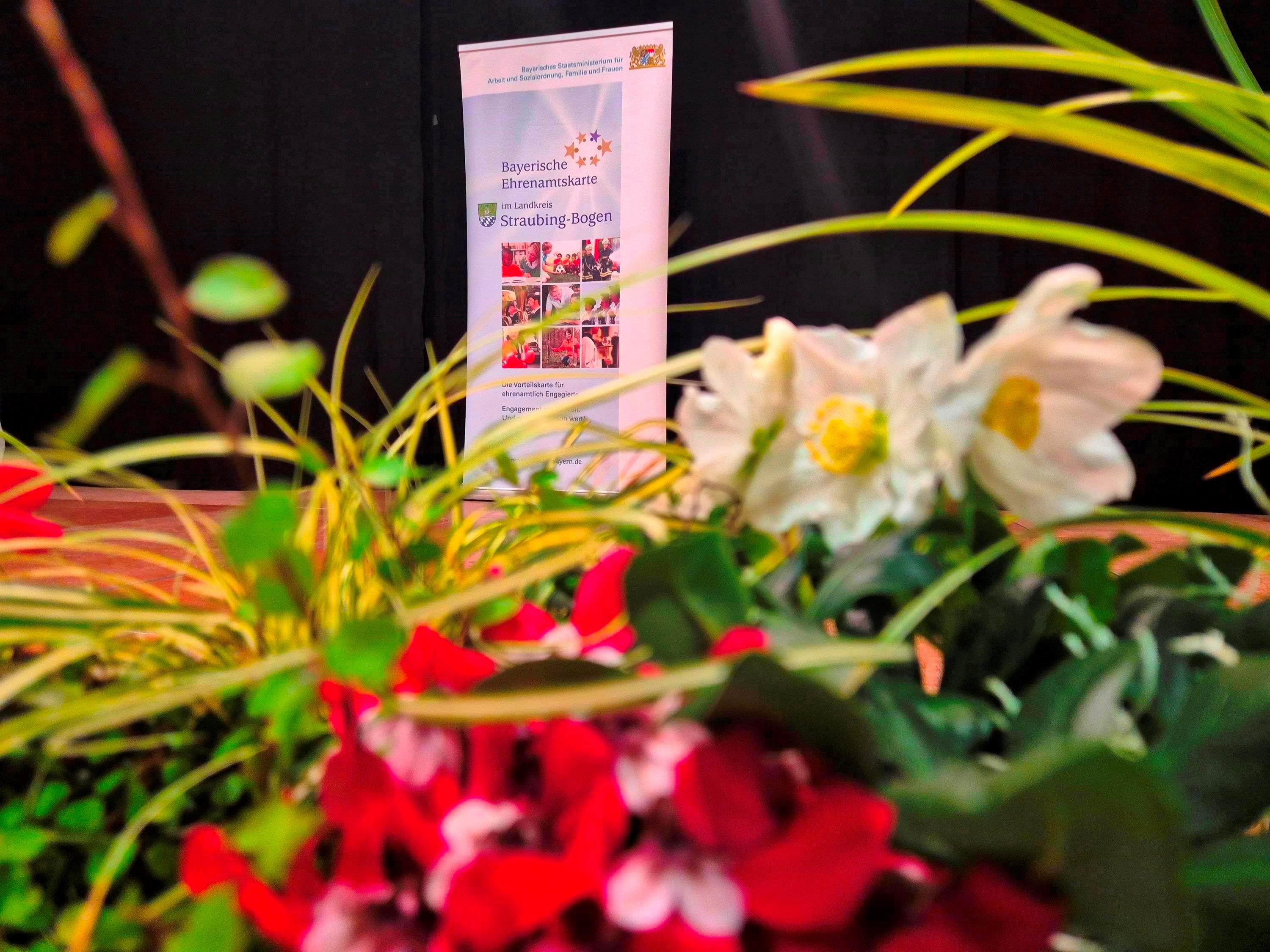 Leider haben wir keinen Alternativtext zu diesem Bild, aber wir arbeiten daran.