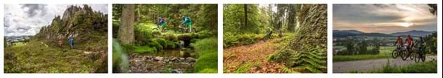 Entwicklung einer MTB Runde im Bayerischen Wald