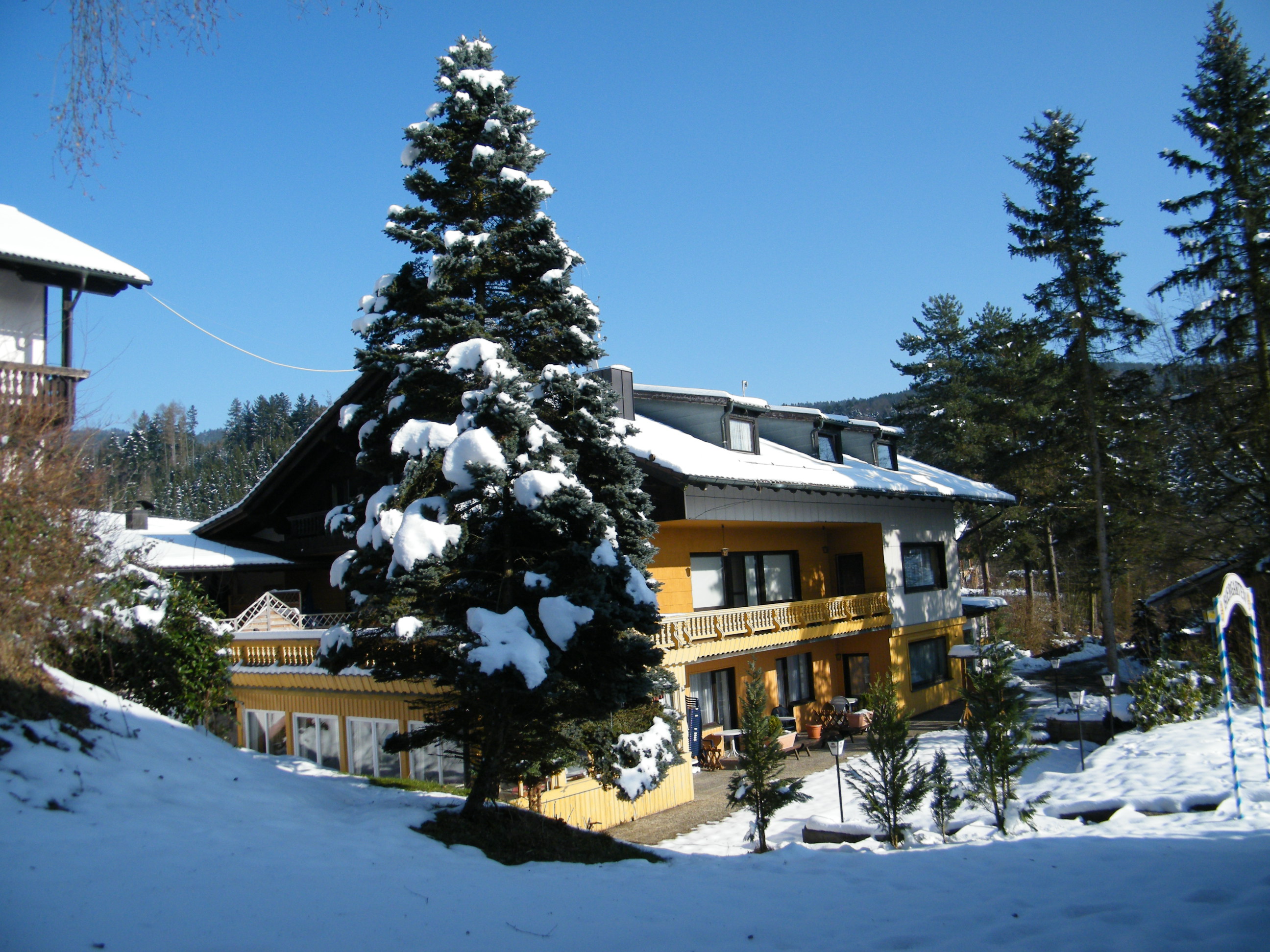 Ansicht des Hotel im Winter. Im Vordergrund eine Tanne, ringsum liegt Schnee