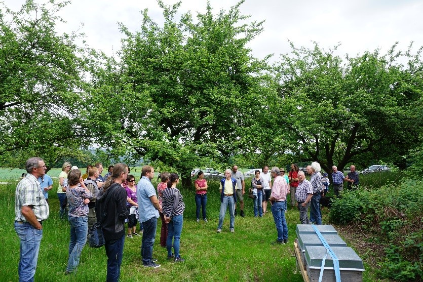 Bei der Exkursion des Netzwerk Streuobst über die Euersdorfer Streuobstwiese erzählt Josef Schindler vom OGV Haunkenzell (vorne, dritter von rechts) von der Geschichte der über 60 Jahre alten Bäume.