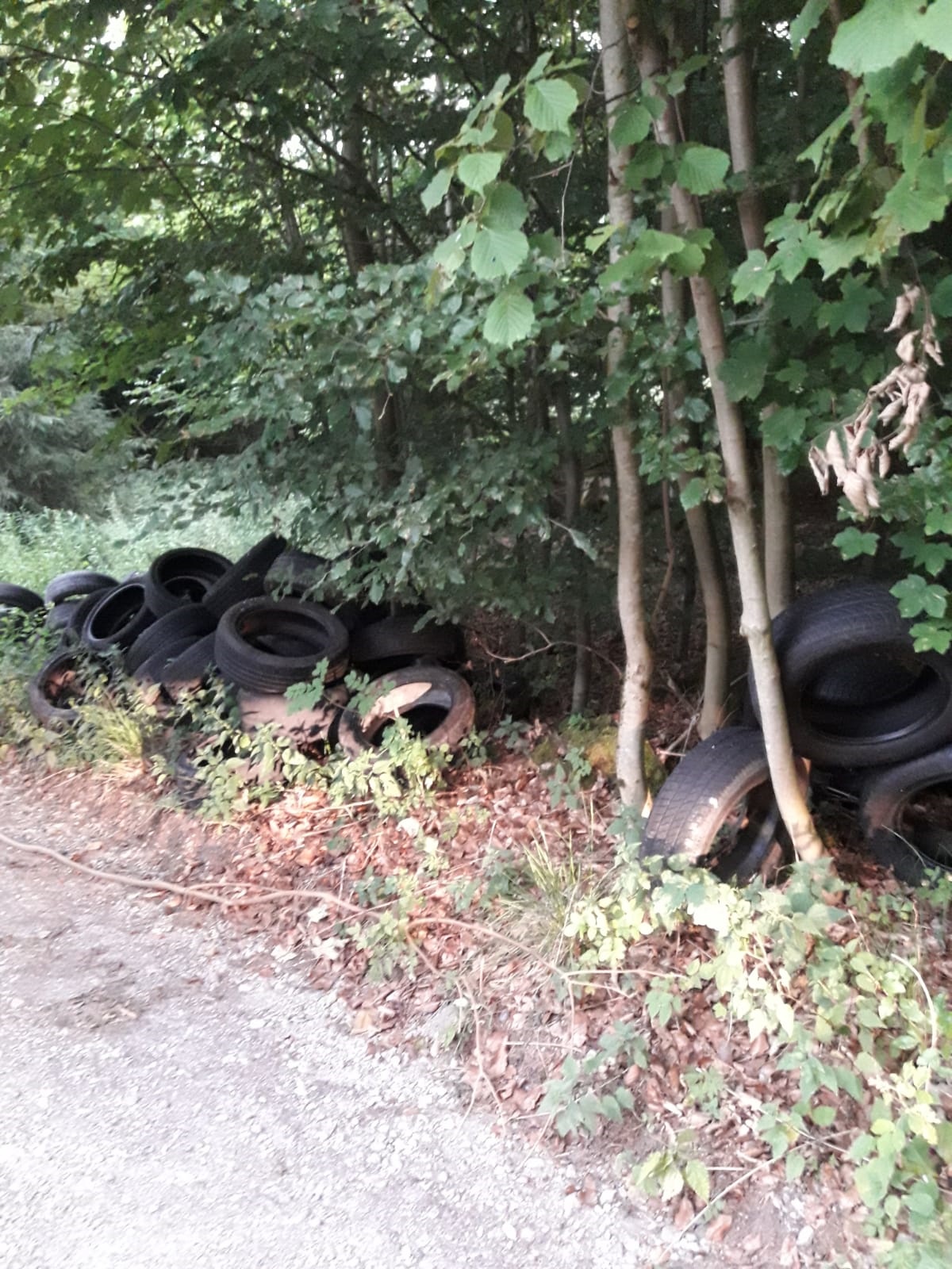 Illegale Entsorgung Autoreifen in einem Waldstück im Landkreis