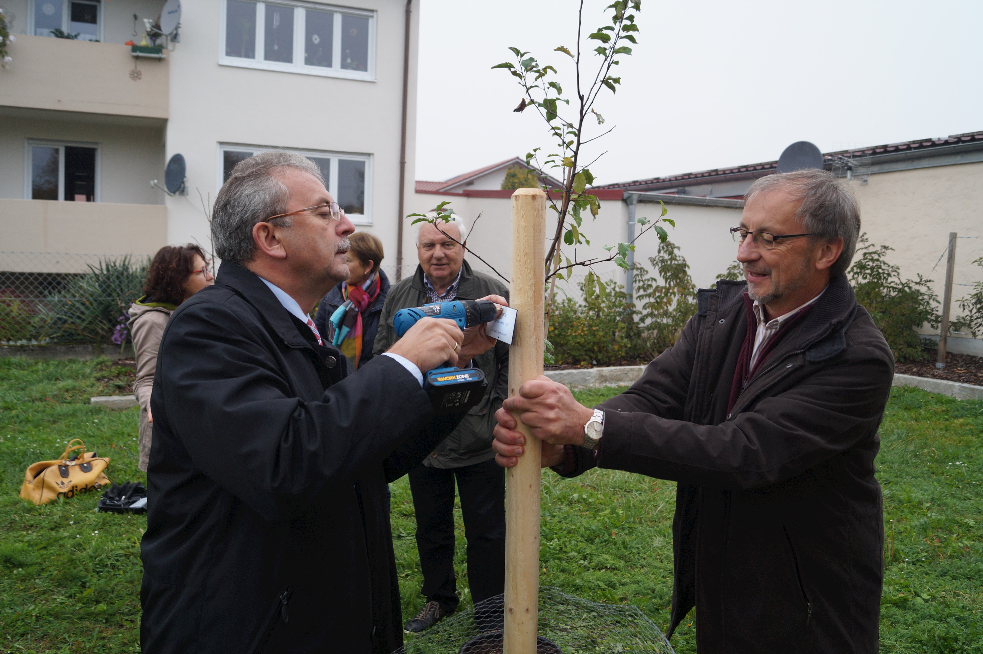 Johann Niedernhuber (rechts) pflanzt gemeinsam mit Landrat Josef Laumer einen Apfelbaum in Aiterhofen (Archivbild).