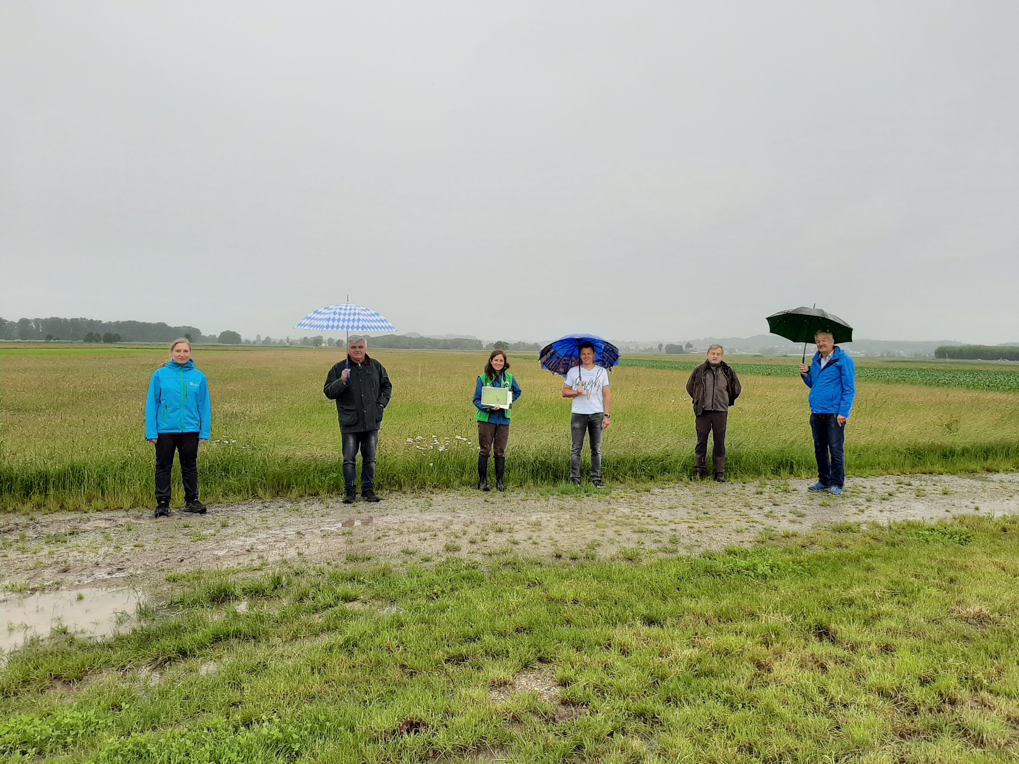 Manuela Kern (Untere Naturschutzbehörde Landkreis Straubing-Bogen), Niederwinklings Bürgermeister Ludwig Waas, Verena Rupprecht (Gebietsbetreuerin für Wiesenbrüter im Donautal), Leonhard Hambauer (Landwirt), Alfons Schäffer (Jäger Bereich Niederwinkling) und  Gerhardt Stadler (Bezirkspräsident des Bayerischen Bauernverbandes, von links) stehen beim Ortstermin im Niederwinklinger Moos vor einem Feld.