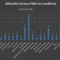 Corona-Fälle 24.02_1.png